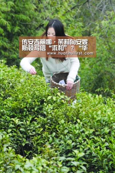 传安吉丽娜·茱莉向安妮斯顿写信“求和”？“华体会网页版”