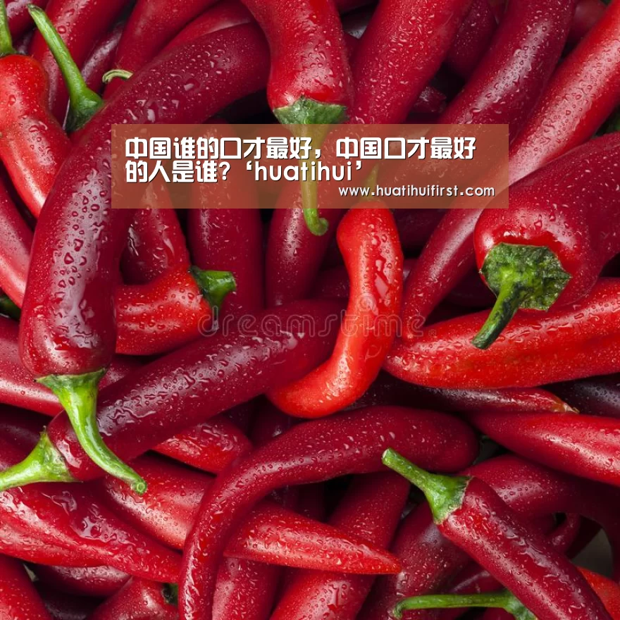 中国谁的口才最好,中国口才最好的人是谁?‘huatihui’(图1) 中国谁的口才最好,中国口才最好的人是谁?‘huatihui’(图1)